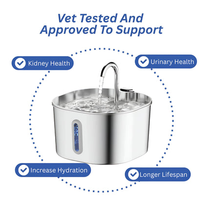 Protect your cat from dehydration and urinary emergencies with Lyfex