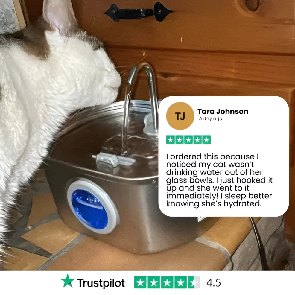 Protect your cat from dehydration and urinary emergencies with Lyfex