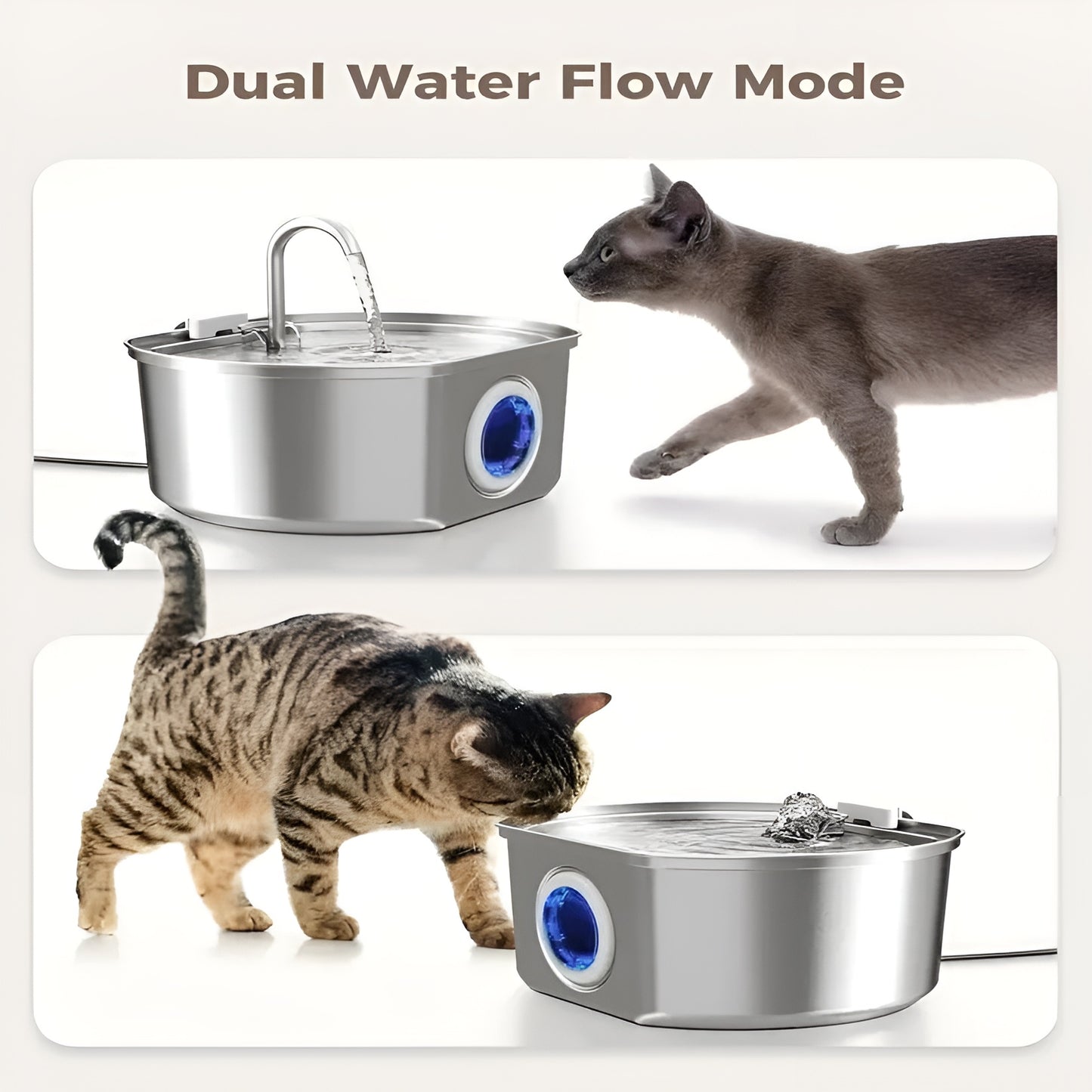 Protect your cat from dehydration and urinary emergencies with Lyfex