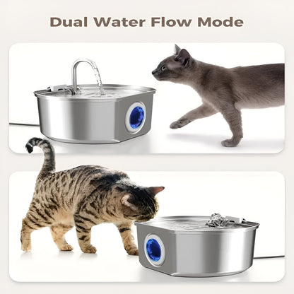 Protect your cat from dehydration and urinary emergencies with Lyfex