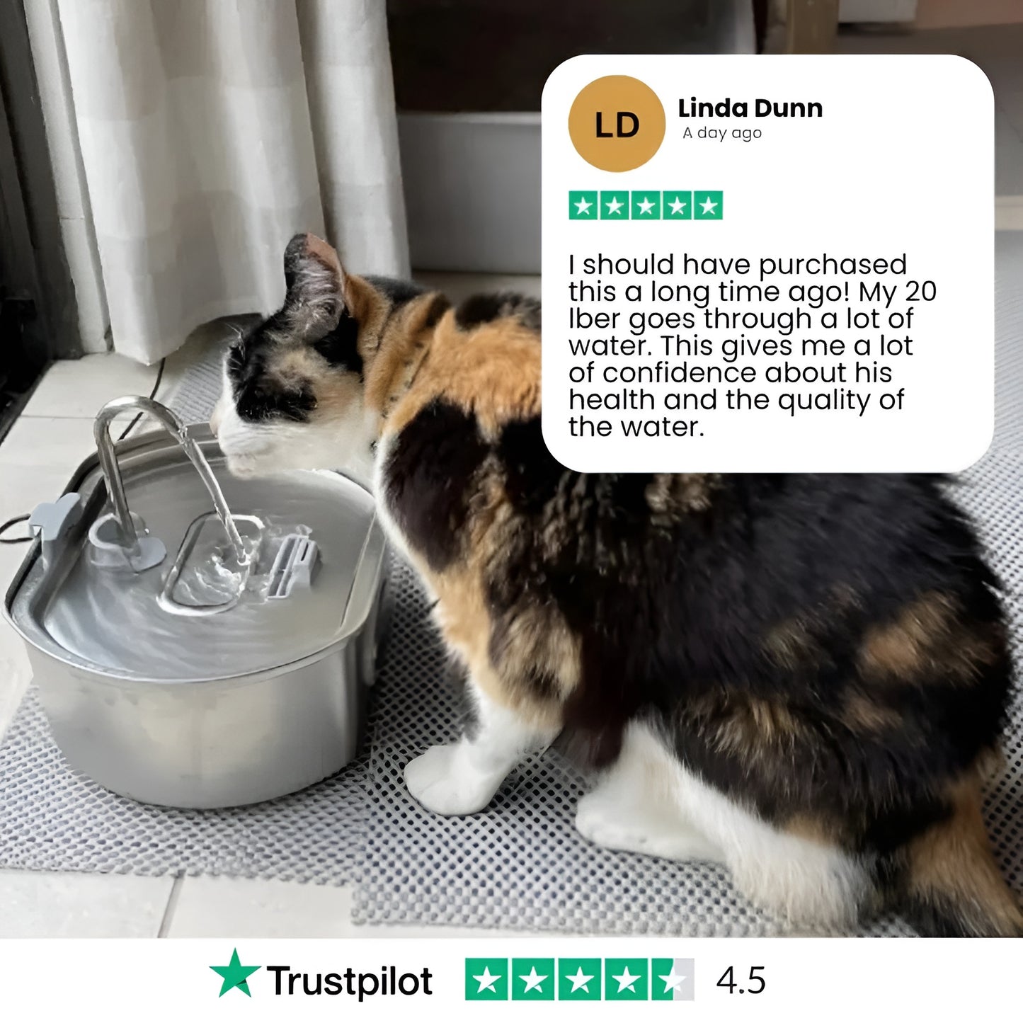 Protect your cat from dehydration and urinary emergencies with Lyfex